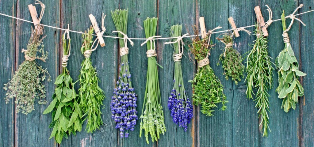 Zioła na wypadanie włosów