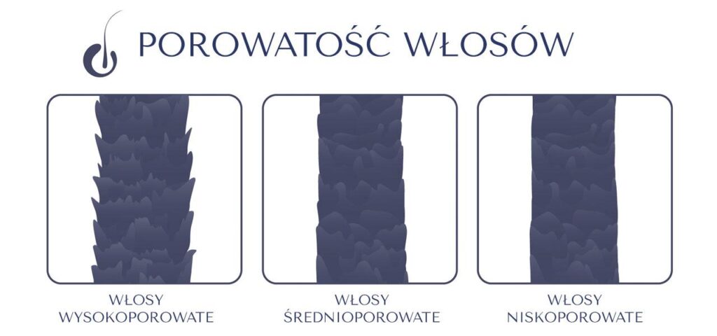 porowatość włosów