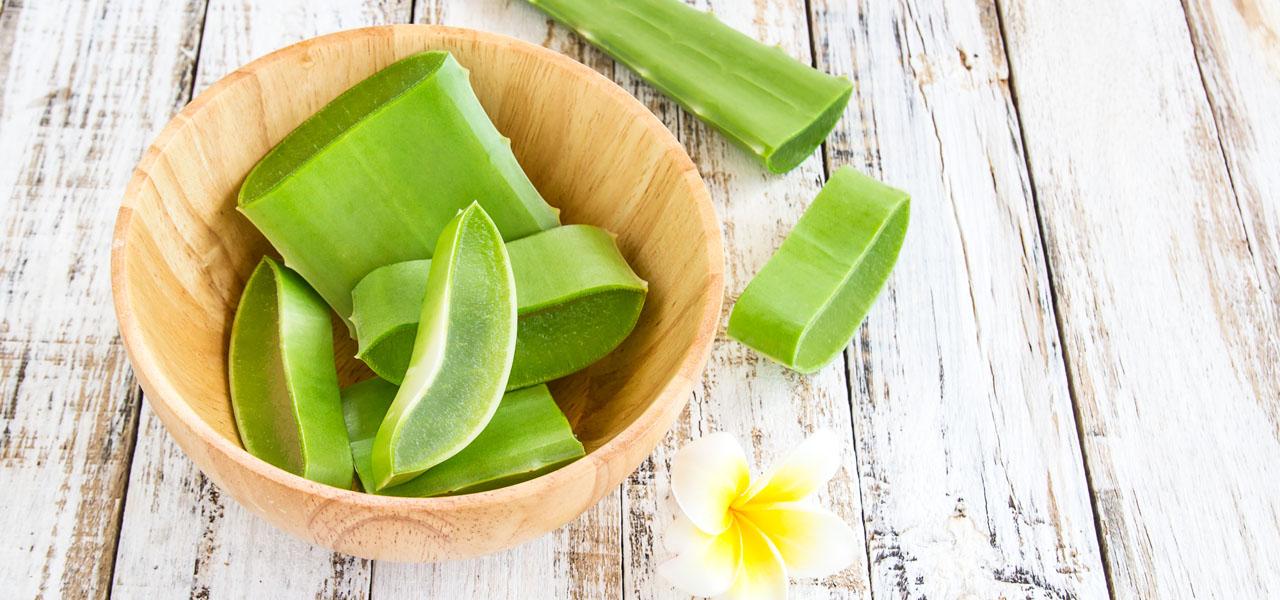 Aloes na włosy – efekty, jak stosować?