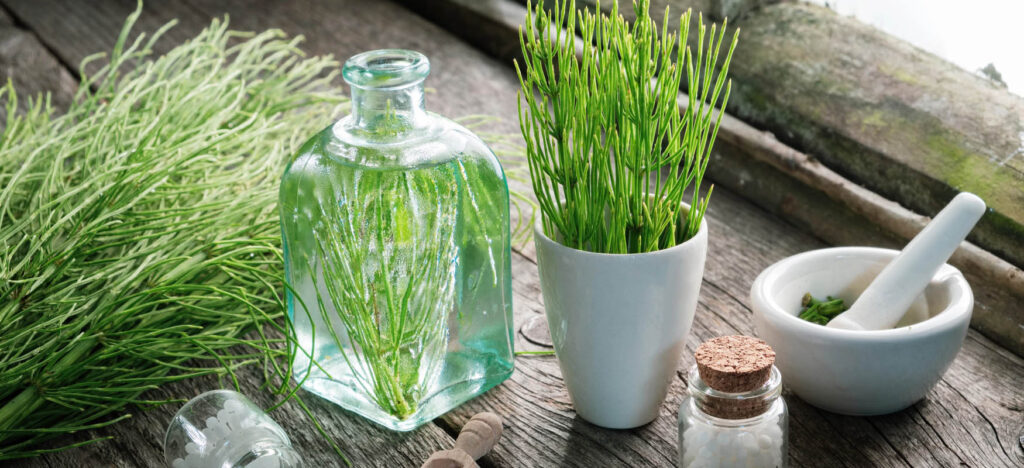 skrzyp polny na wlosy