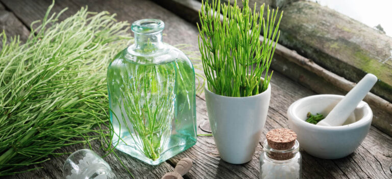 skrzyp polny na wlosy