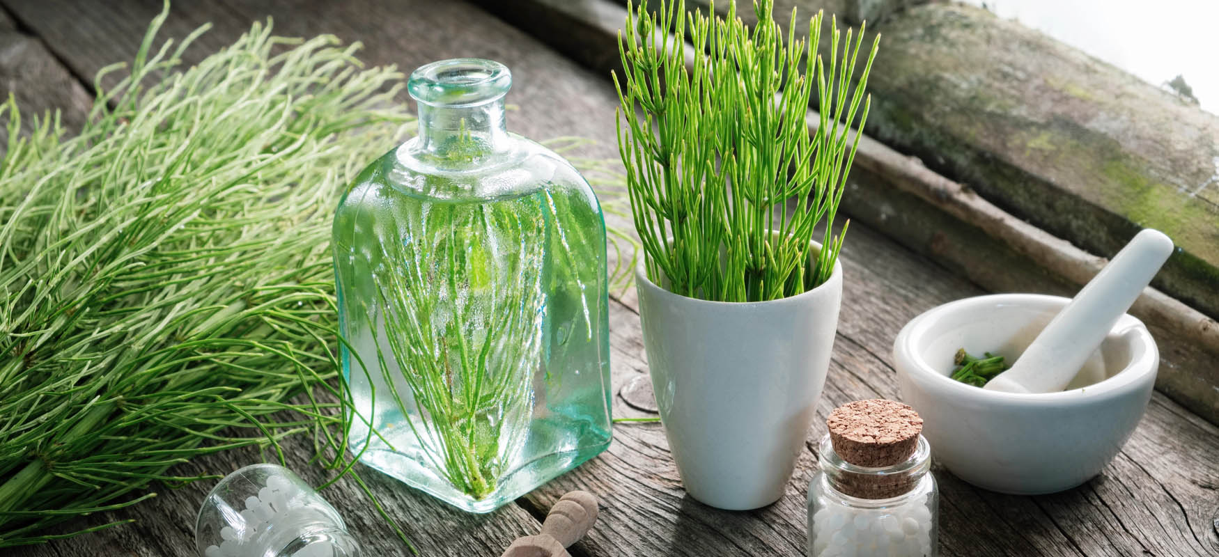 Korzyści ze stosowania skrzypu polnego na włosy